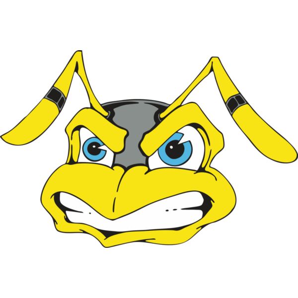 113 Bee Face Thumbnail