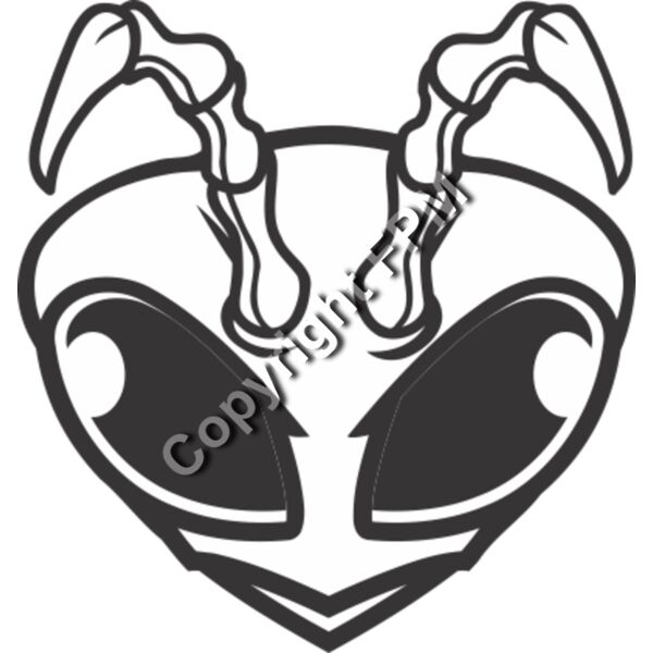 139 Bee Head Thumbnail