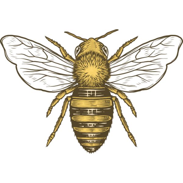 A1260 Honey Bee Thumbnail