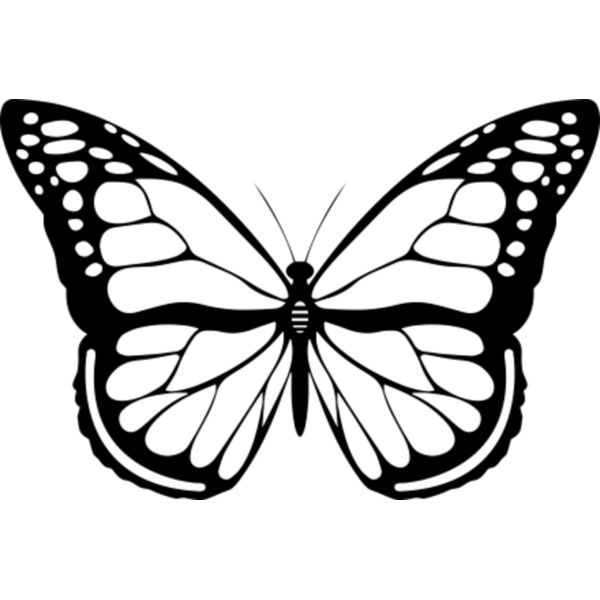 A1088 Butterfly Thumbnail