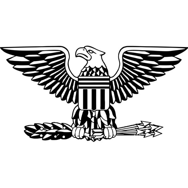 Bald Eagle Thumbnail