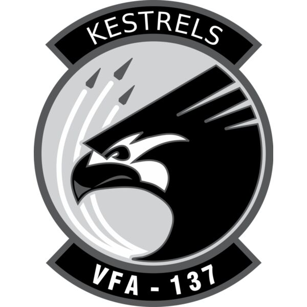 1109 VFA 137 Thumbnail