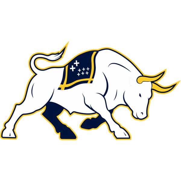 8906 HSC 26 Bull Thumbnail