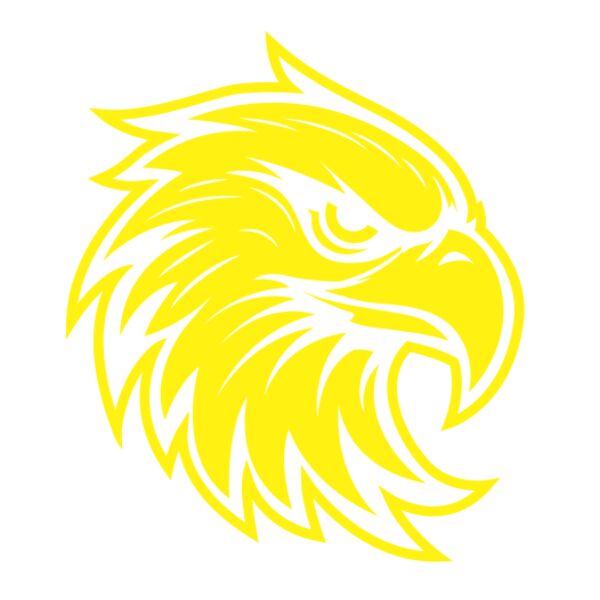 Golden Falcons Thumbnail