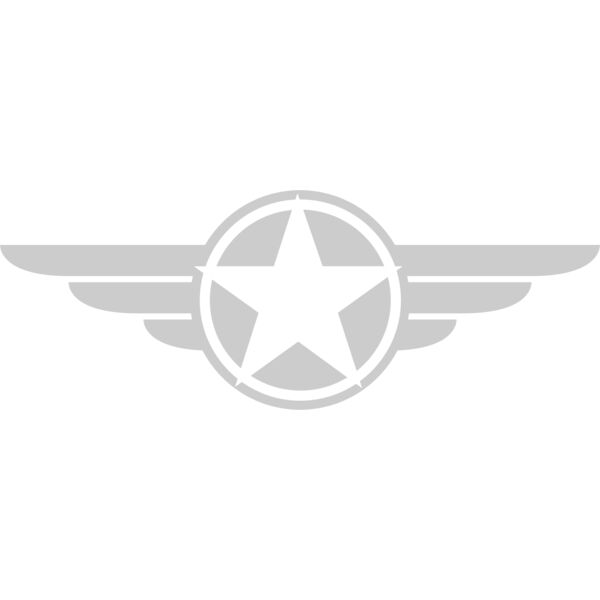 Air Force Wings Thumbnail