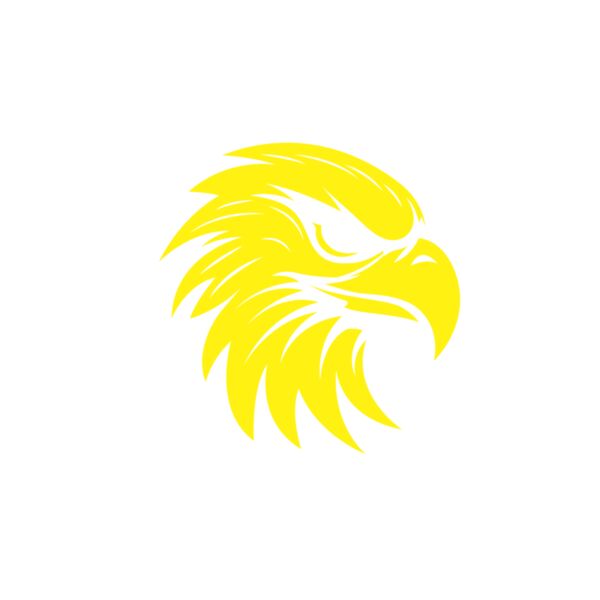 HSC 12 Golden Falcons Thumbnail