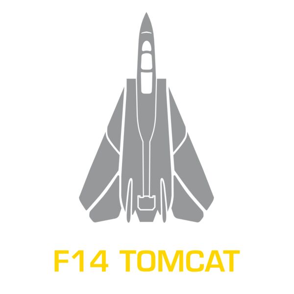F14 Tomcat Thumbnail