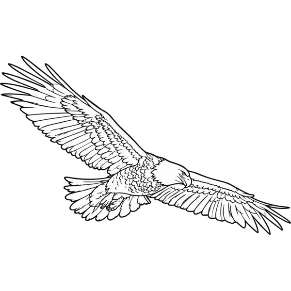 Eagle Thumbnail