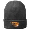 Fleece Lined Knit Cap Thumbnail