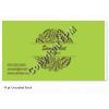 Business Cards - 14pt Uncoated Cover Thumbnail