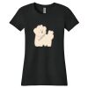Women's Tri Blend Tee Thumbnail