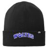 Solid Cuffed Beanie Thumbnail