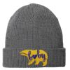 Chunky Knit Beanie Thumbnail