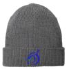 Chunky Knit Beanie Thumbnail