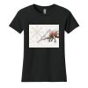 Women's Cotton Relaxed Tee Thumbnail