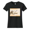 Women's Cotton Relaxed Tee Thumbnail