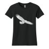 Women's Cotton Relaxed Tee Thumbnail